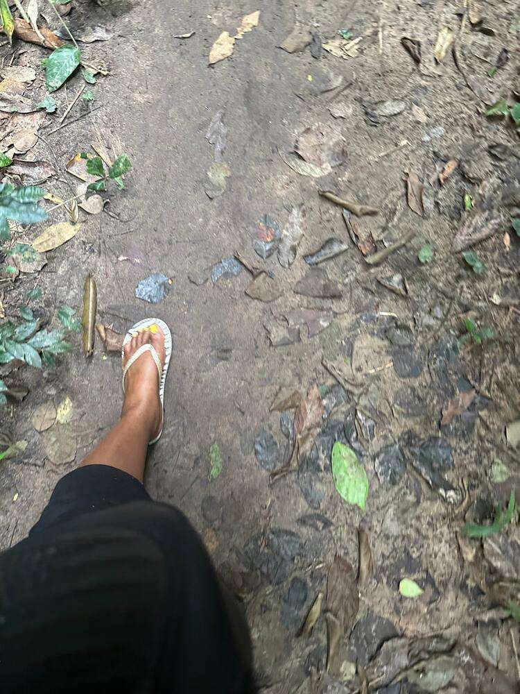 Kathy's feet walking along a forest path covered in leaves, on the way to the Big Tree